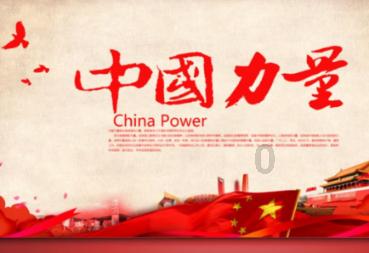 救援受困的小野猫
